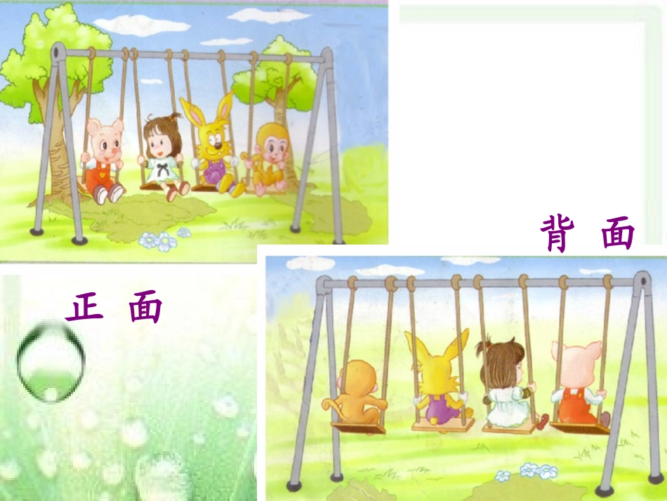 观察物体课件危_第3页