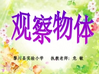 观察物体课件危