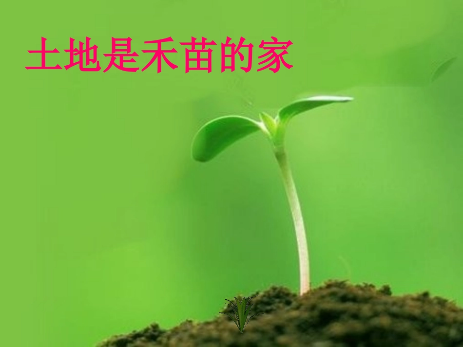 《共同的家》PPT课件_第3页