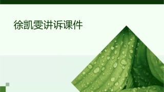 看不见光徐凯雯讲诉课件