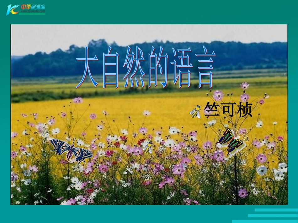 大自然的语言3_第1页