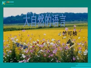 大自然的语言3