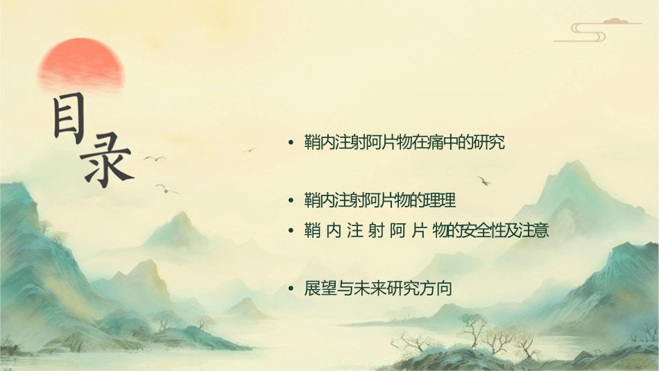 鞘内注射阿片类药物用于骨科手术后镇痛研究进展护理课件_第2页