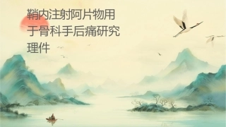 鞘内注射阿片类药物用于骨科手术后镇痛研究进展护理课件