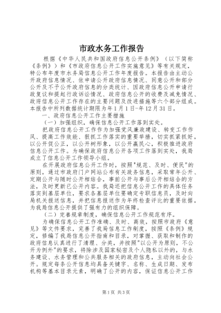 市政水务工作报告