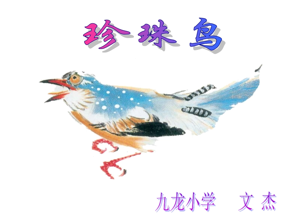 《珍珠鸟》课件 (2)_第1页