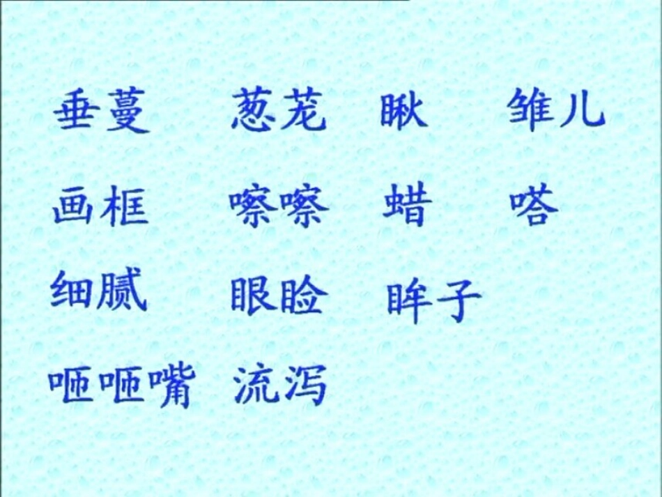 《珍珠鸟》课件 (2)_第2页