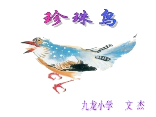 《珍珠鸟》课件 (2)