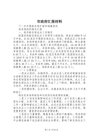 市政府汇报材料