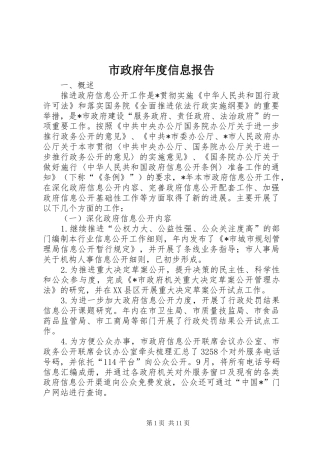 市政府年度信息报告