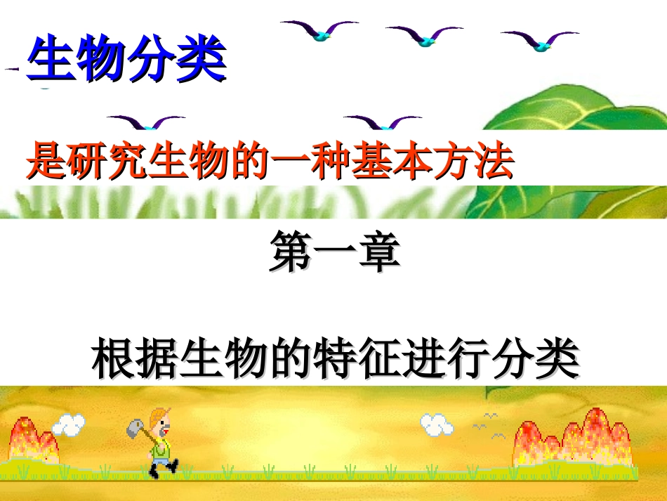 新人教版611尝试对生物进行分类_第3页