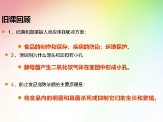 新人教版611尝试对生物进行分类