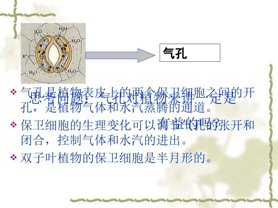 用显微镜观察身边的生命世界(二)2_第3页