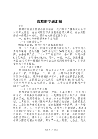 市政府专题汇报