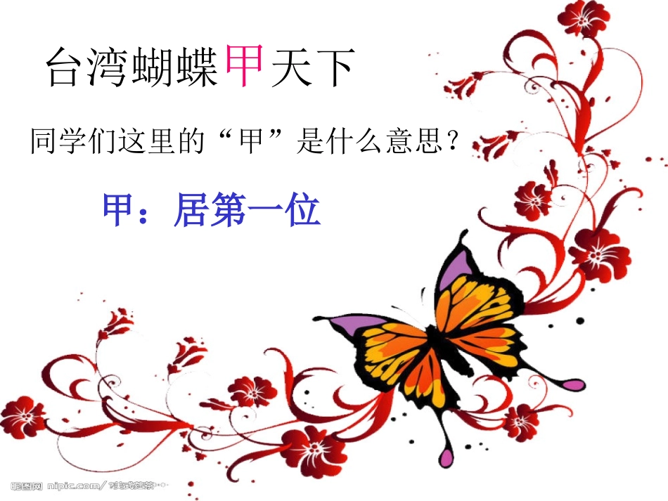 台湾蝴蝶甲天下_第2页