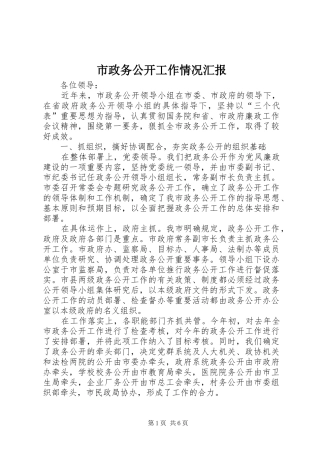 市政务公开工作情况汇报