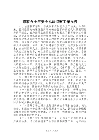 市政办全年安全执法监察工作报告