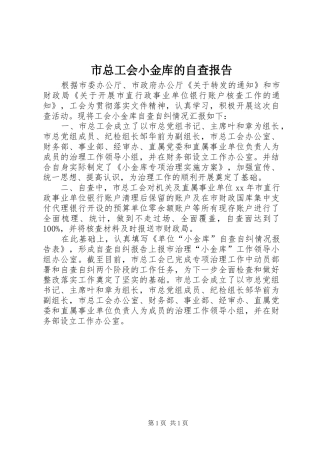 市总工会小金库的自查报告