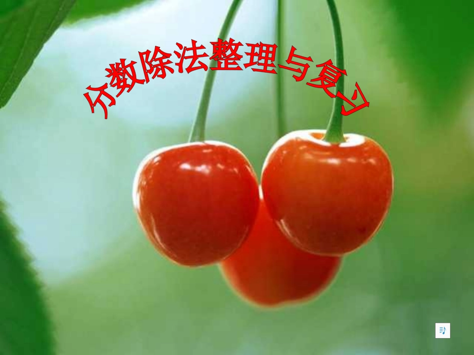 六年级数学分数除法整理与复习_第1页