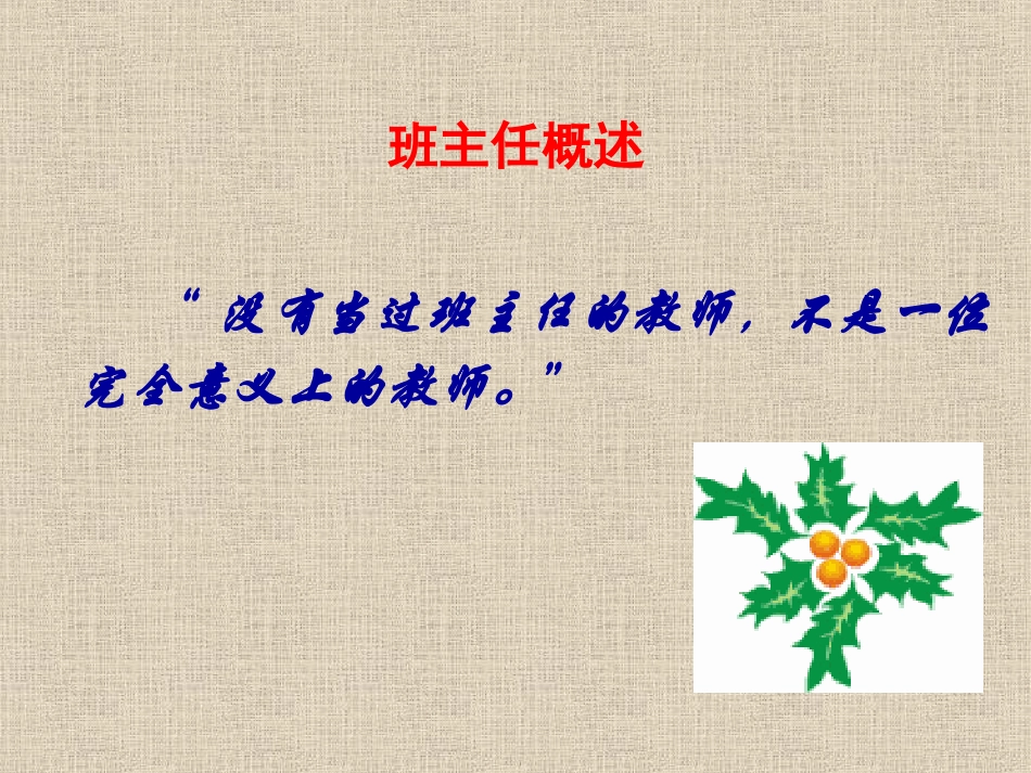 班主任工作概述_第1页