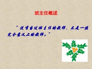 班主任工作概述
