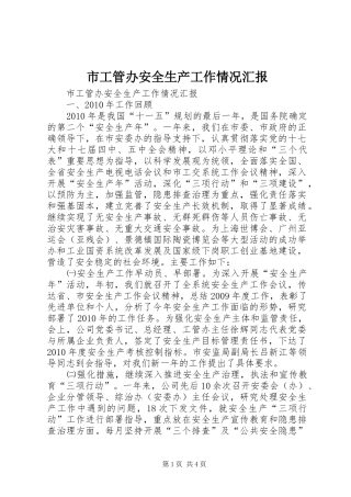 市工管办安全生产工作情况汇报
