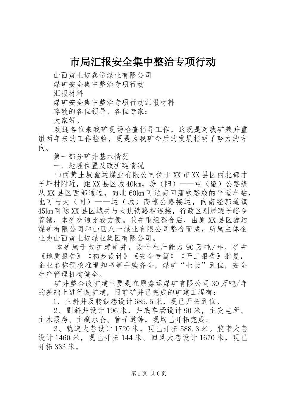 市局汇报安全集中整治专项行动_第1页