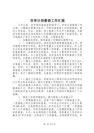 市审计局督查工作汇报
