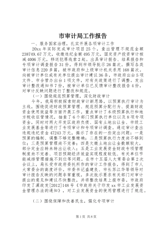 市审计局工作报告