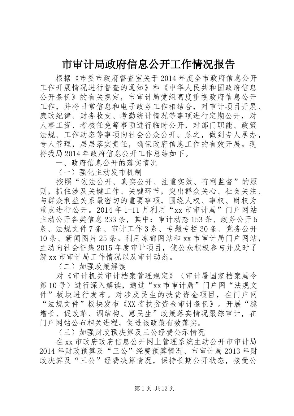 市审计局政府信息公开工作情况报告_第1页