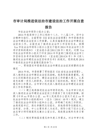 市审计局推进依法治市建设法治工作开展自查报告