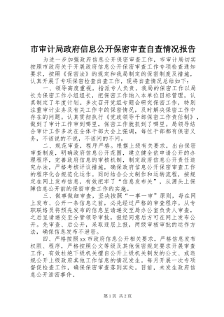 市审计局政府信息公开保密审查自查情况报告