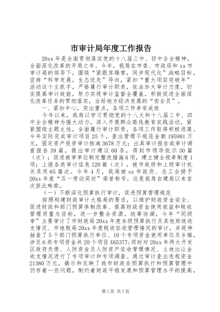 市审计局年度工作报告