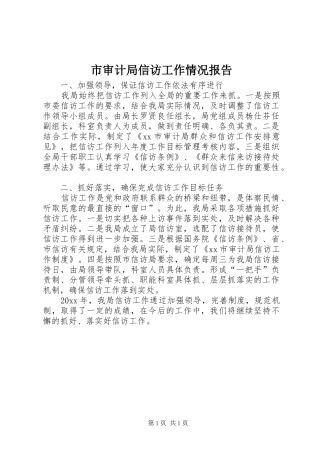 市审计局信访工作情况报告