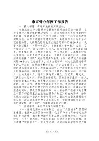 市审管办年度工作报告