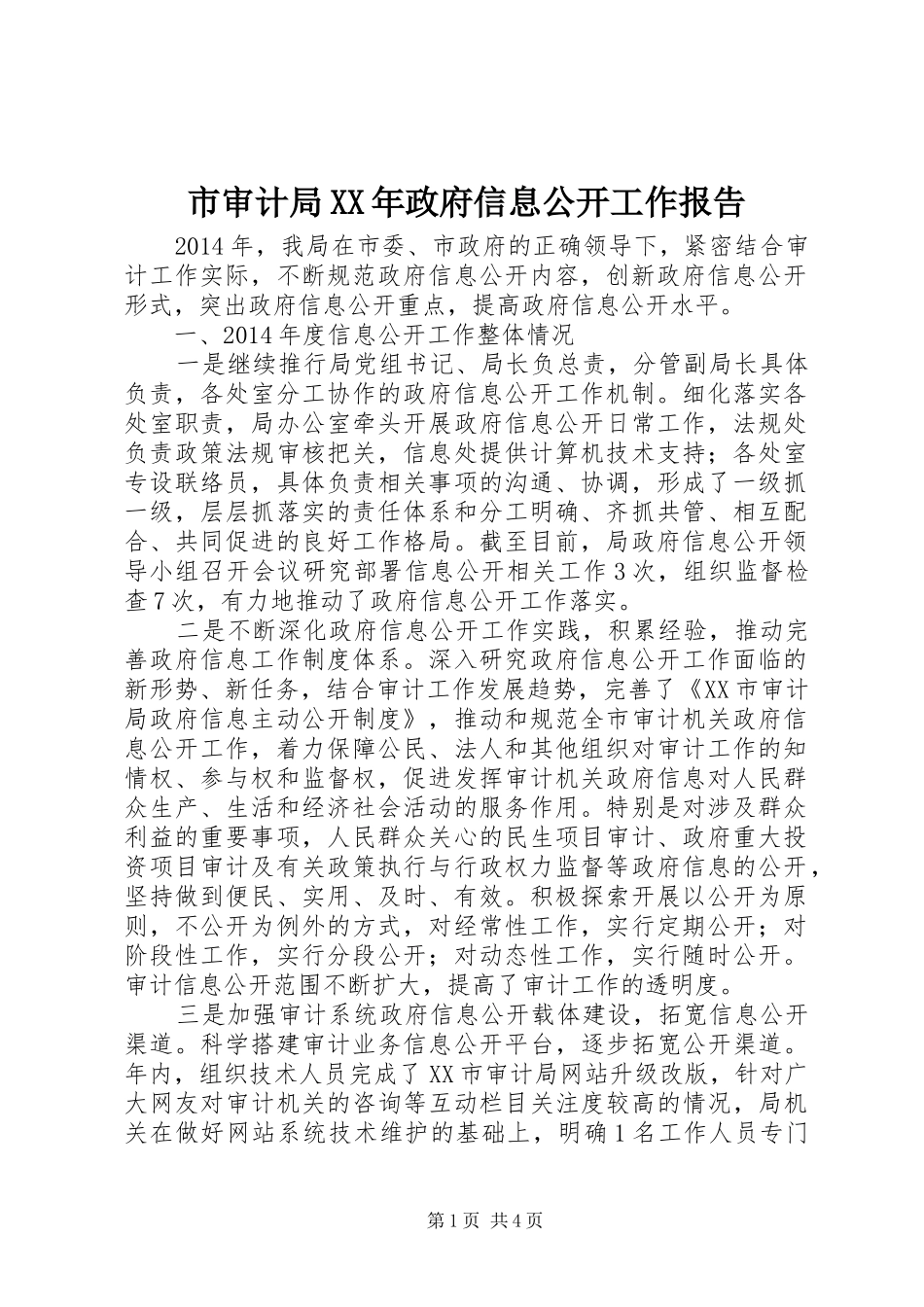 市审计局XX年政府信息公开工作报告_第1页
