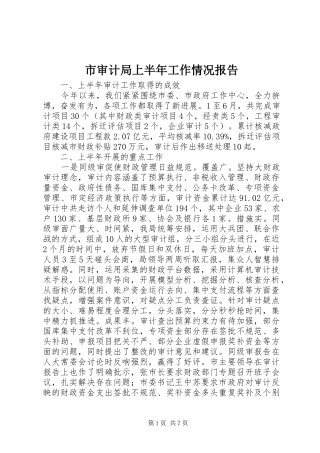 市审计局上半年工作情况报告