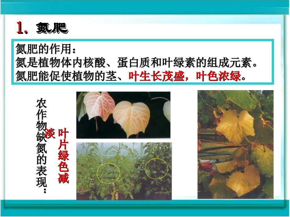 课题2　化学肥料3_第3页