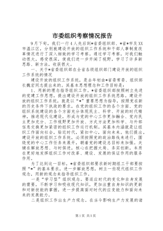 市委组织考察情况报告