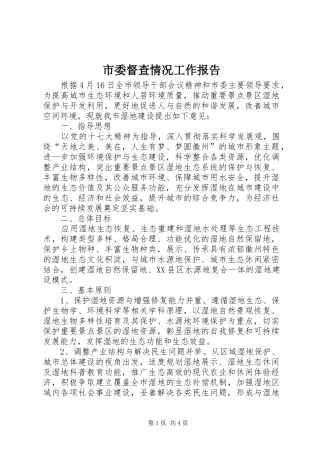 市委督查情况工作报告