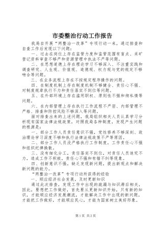 市委整治行动工作报告