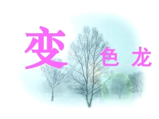 《变色龙》课件__免费下载_课件_人教版_新课标_初中语文_九年级下