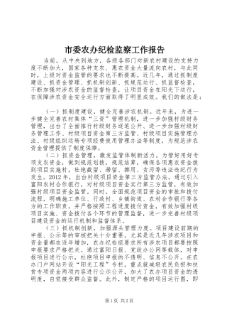 市委农办纪检监察工作报告