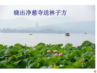 晓出净慈寺送林子方