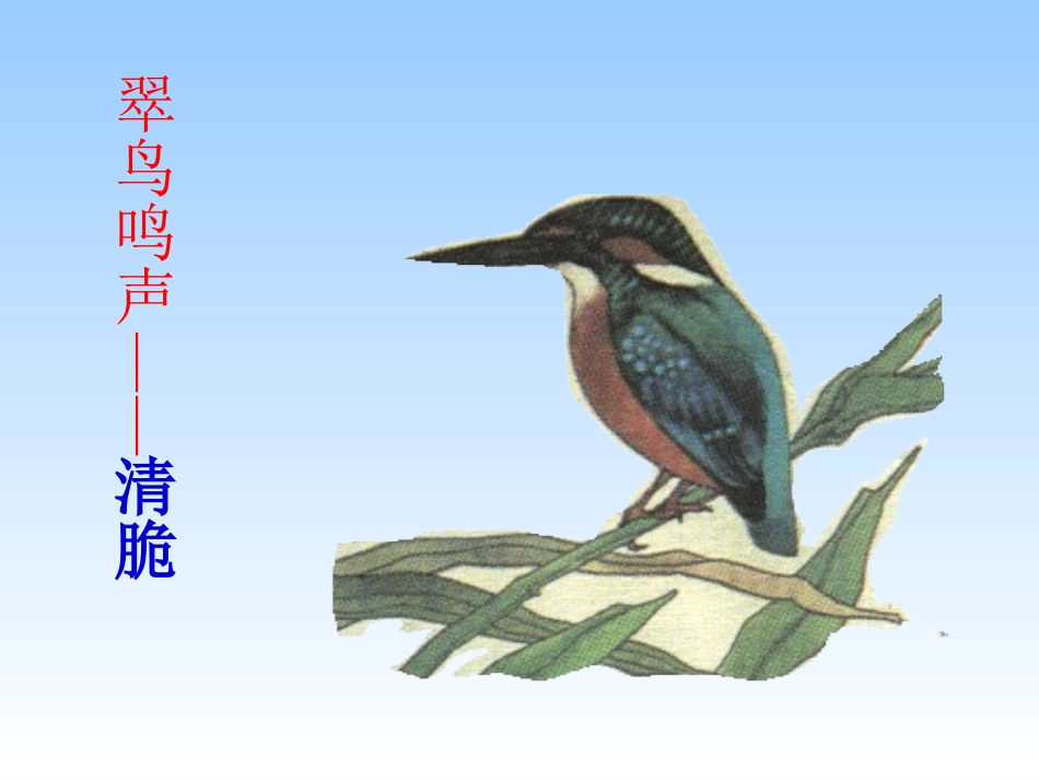 《翠鸟》课件-_第3页