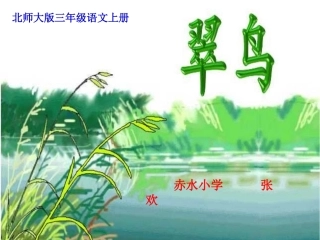《翠鸟》课件-