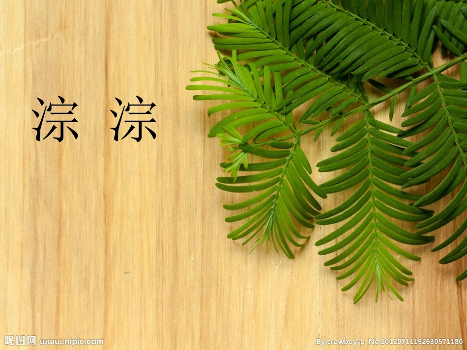 美丽的小兴安岭11_第2页