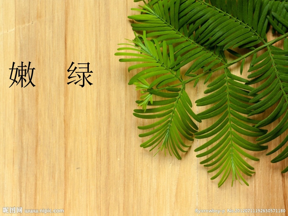 美丽的小兴安岭11_第3页