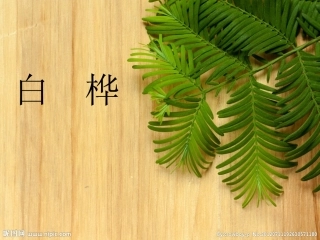 美丽的小兴安岭11