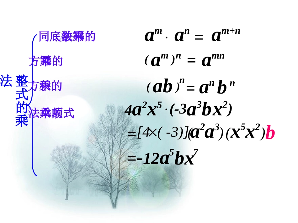 整式的乘法与因式分解复习_第2页